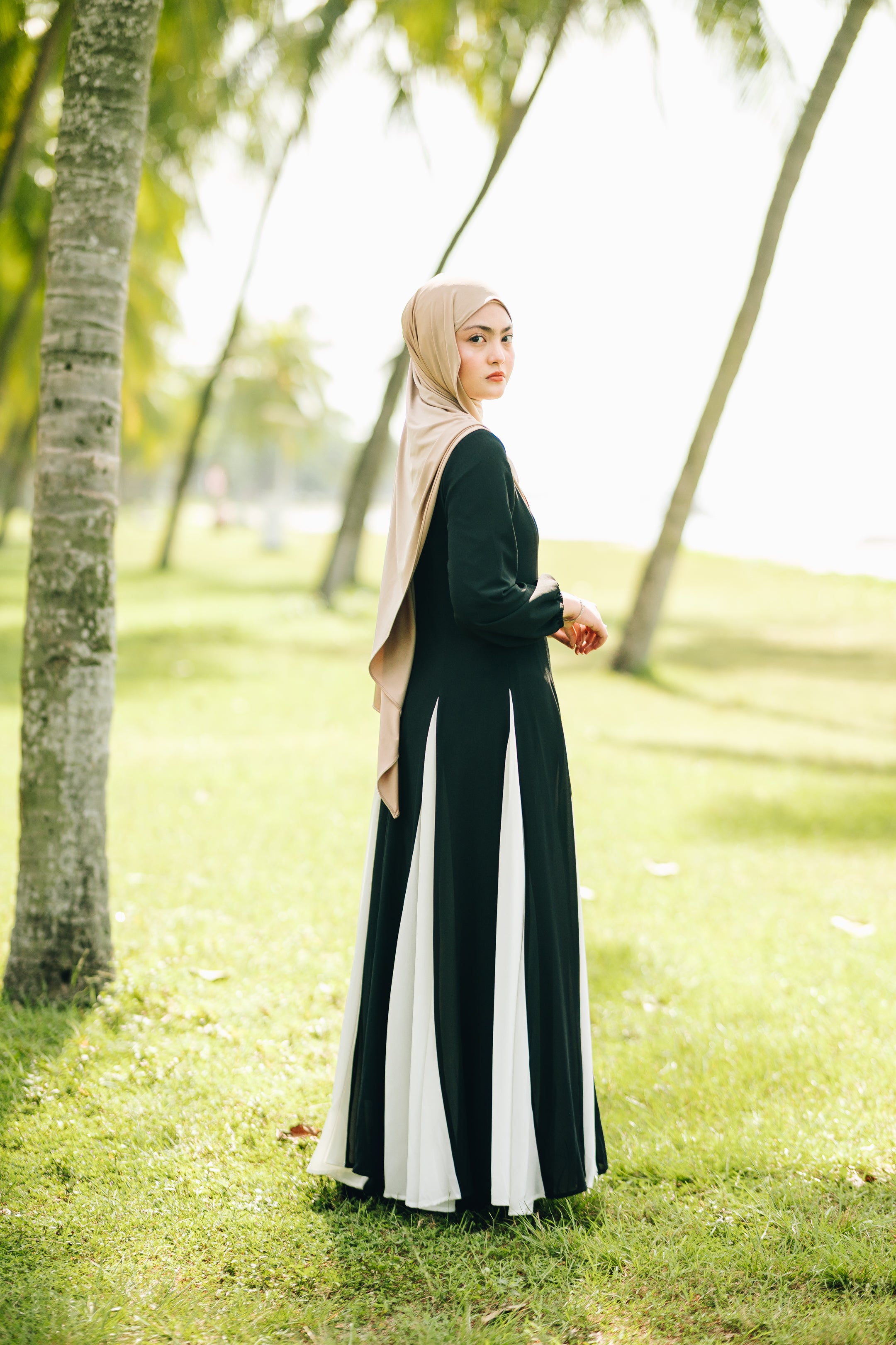 Waist Stitched Dual Tone Chiffon Dress