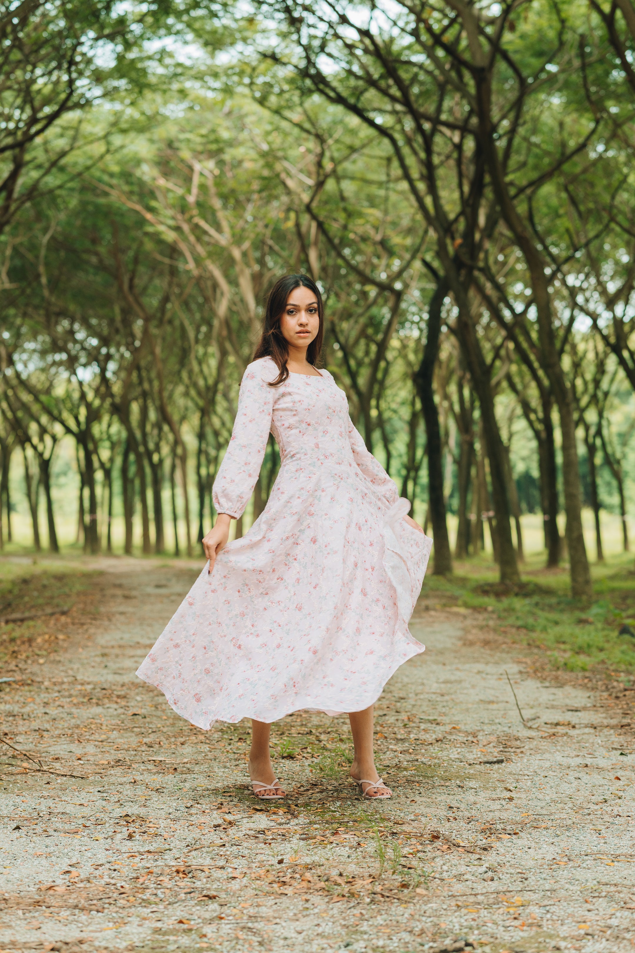 Rosalind Cotton Eyelet Dress