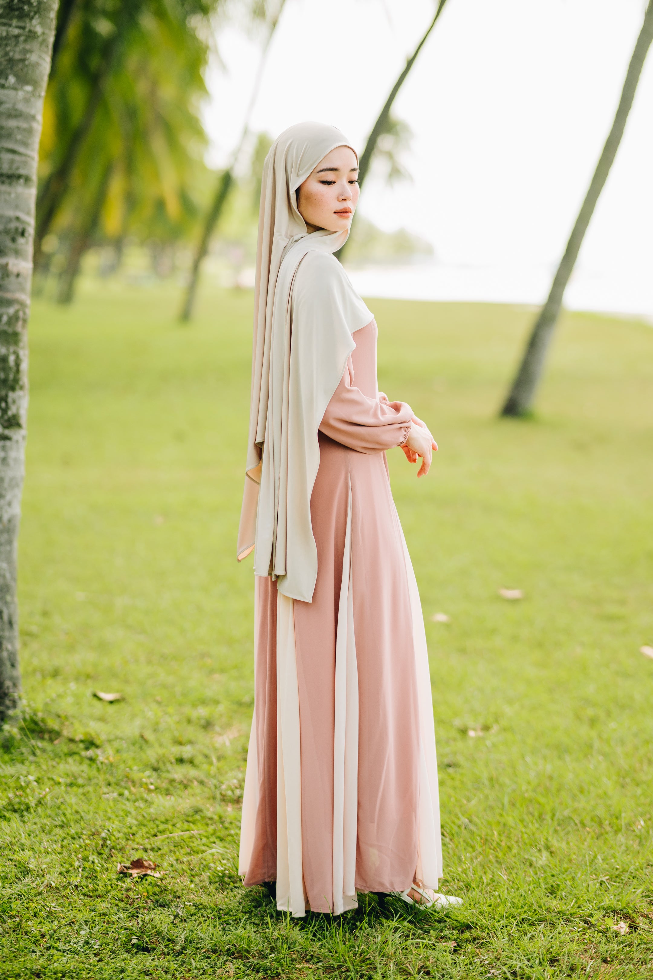 Waist Stitched Dual Tone Chiffon Dress